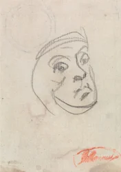 頭
